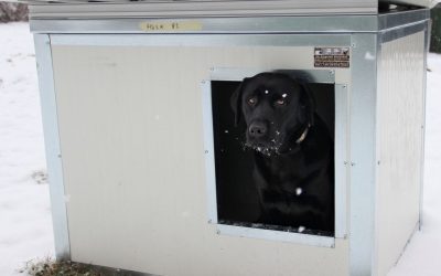 Adományokból új kutyaházak