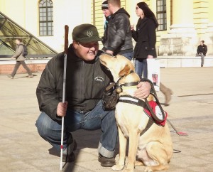 Zsombor és Denisz kutya sikeres vizsgát tett